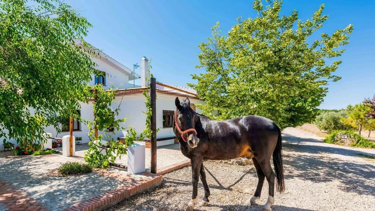 Cortijo Rica Santa Cruz Del Comercio By Ruralidays Villa Granada Spanje